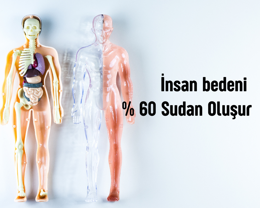 Bir Bardak Su İçtiğinizde
