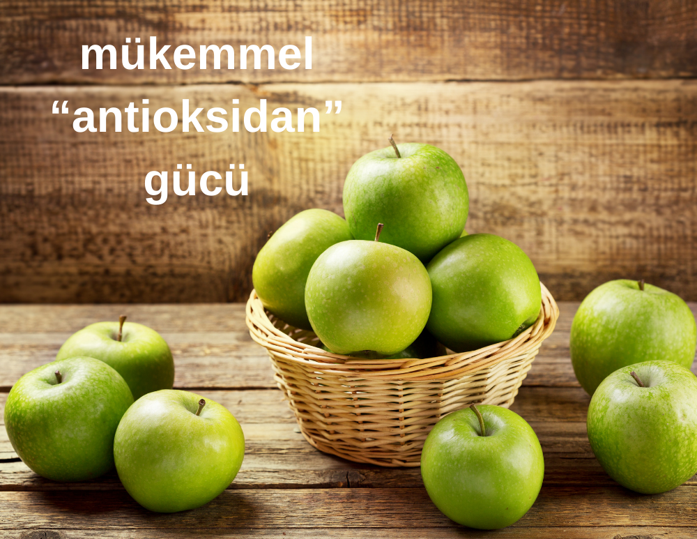 Neden Hidrojenli Su Cihazı?