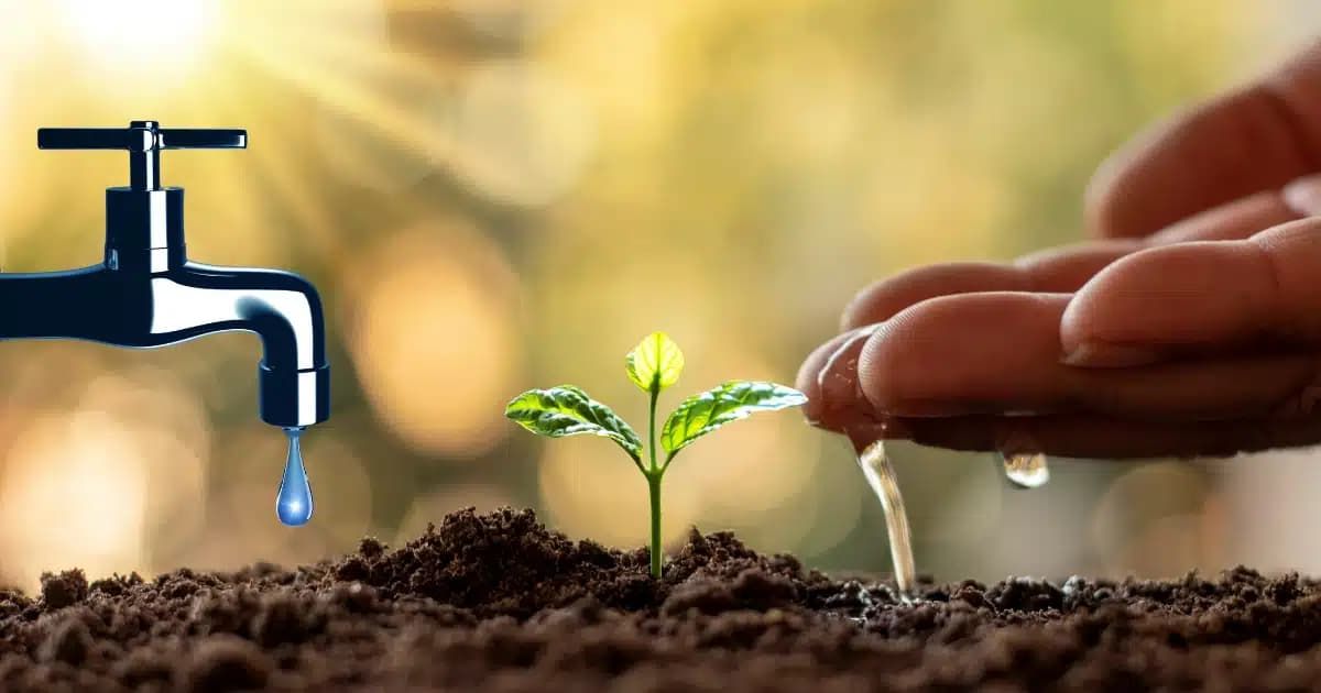 Su Tasarrufu Nedir? Neden Önemlidir ve Nasıl Yapılır?